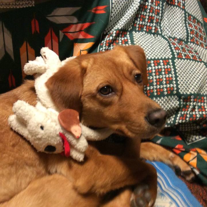 93e76042 2522 4f20 9521 520127172d1a 1517925047269