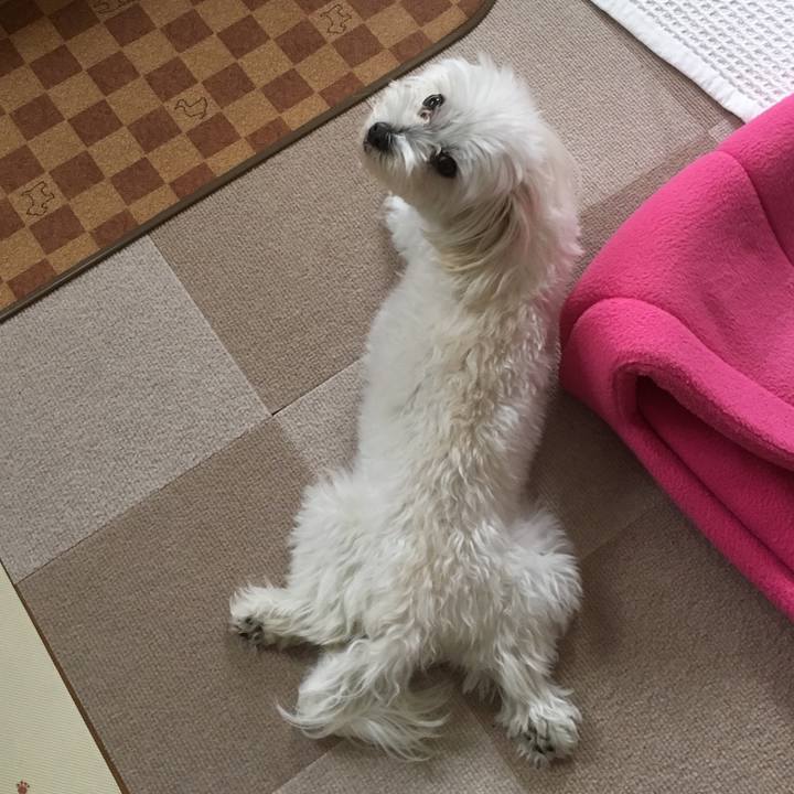 93e78a1c d62c 4202 8796 1892ac77fecf 1531544926488