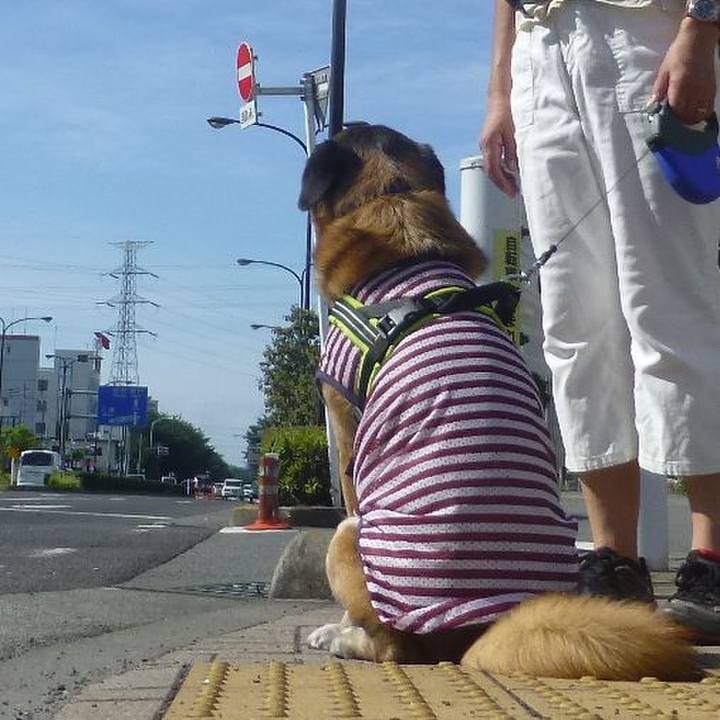 93e795d4 9d36 4d68 9a1b bc78585cd15b 1580303142976