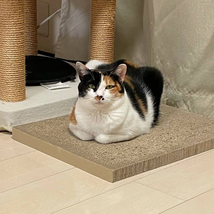 93e7986e e688 47c2 9130 0472500097b9 1611053117591