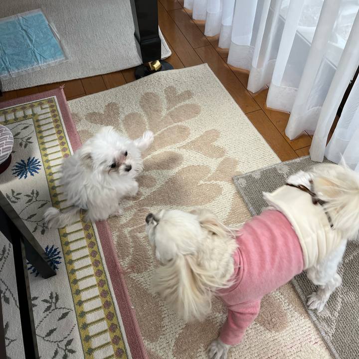 93e7d61f de93 41a0 b17b afd936c6c25f 1704891451343