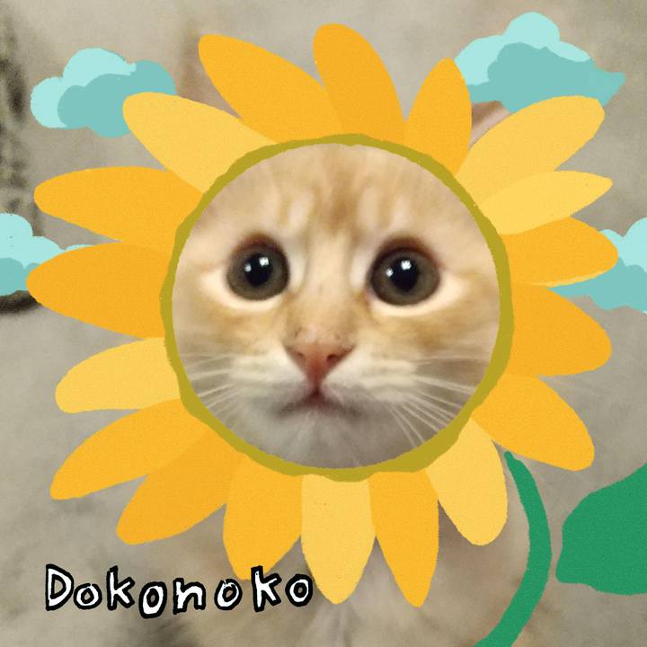 93e7dd92 c0df 4728 8a61 62fb93a844f9 1723255296275