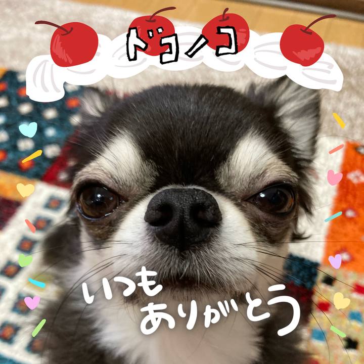 93e7faea ba7b 46d8 b72a 2ed769685496 1686004778512