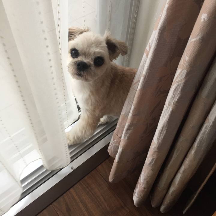 93e7fc59 ea18 4ab3 9940 9192005f1b6e 1565921561777