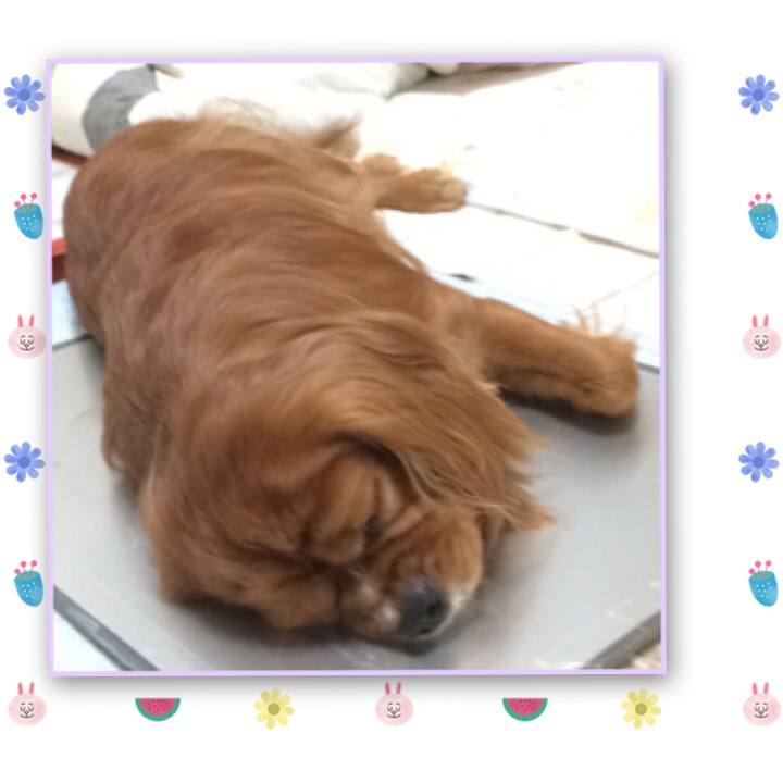 93e81447 be34 44d9 9b15 b87b2159b4cc 1597929224060