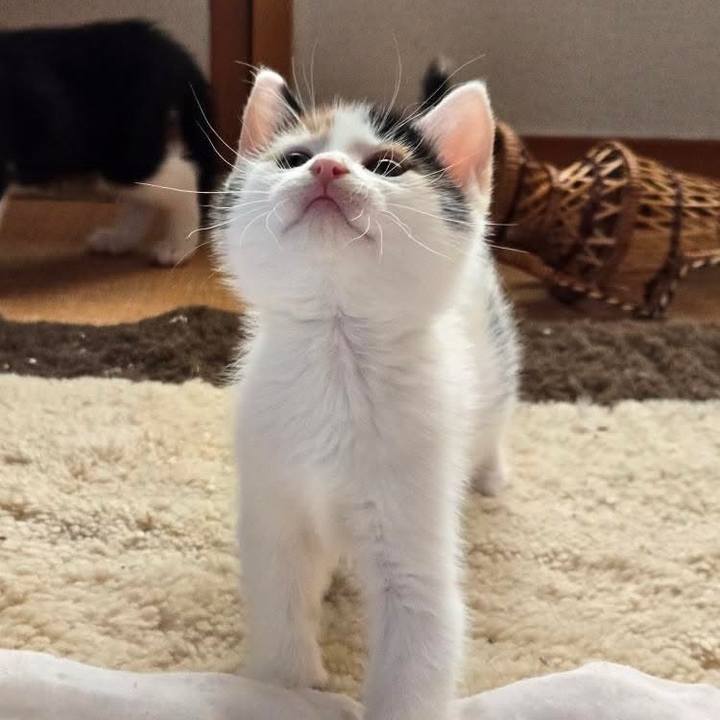 93e81479 55aa 4876 847a 2ae6b9c92426 1759212547395