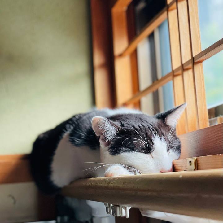 93e83d47 b4c8 4d3a 96cc 54031c262a47 1659835952972