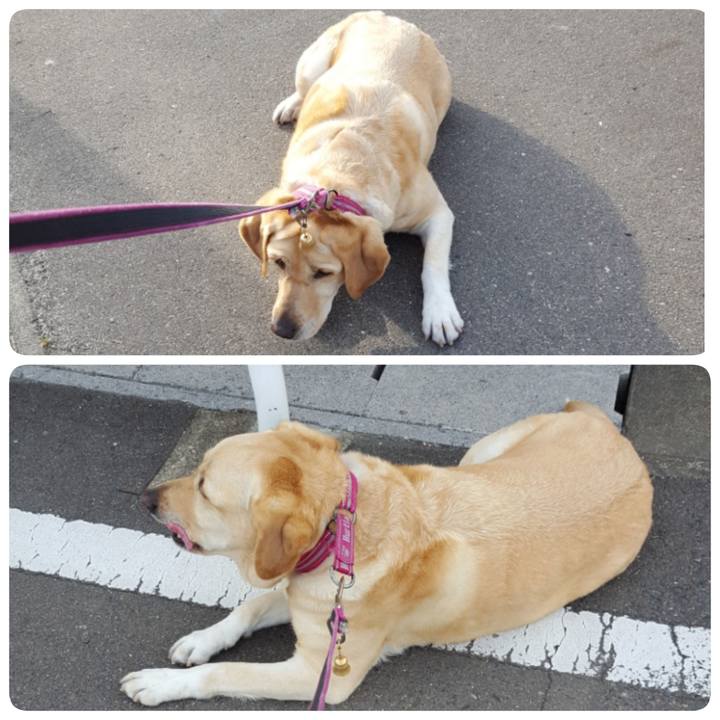 93e8457d 519f 4542 84a9 1a0504216623 1526441689124