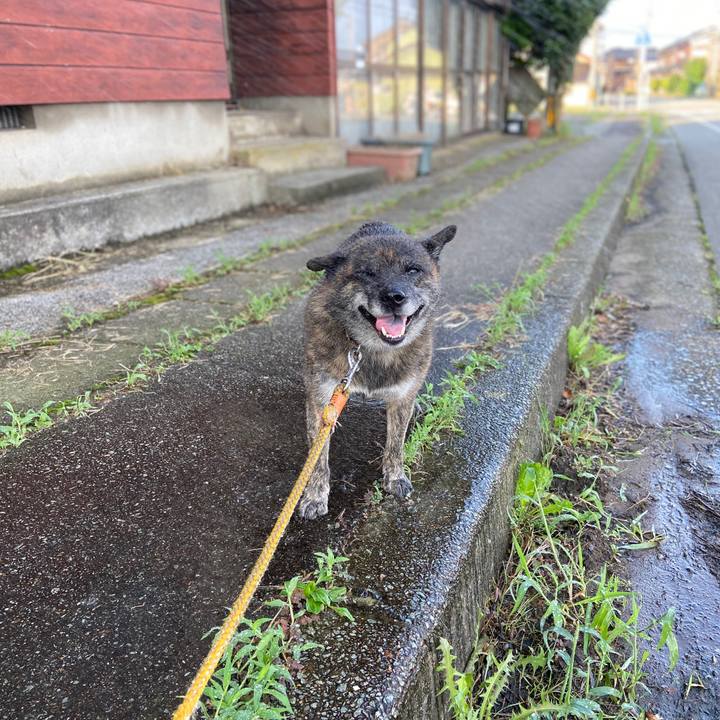 93e8766b 45b6 464d 8f70 86535739df26 1597010952694