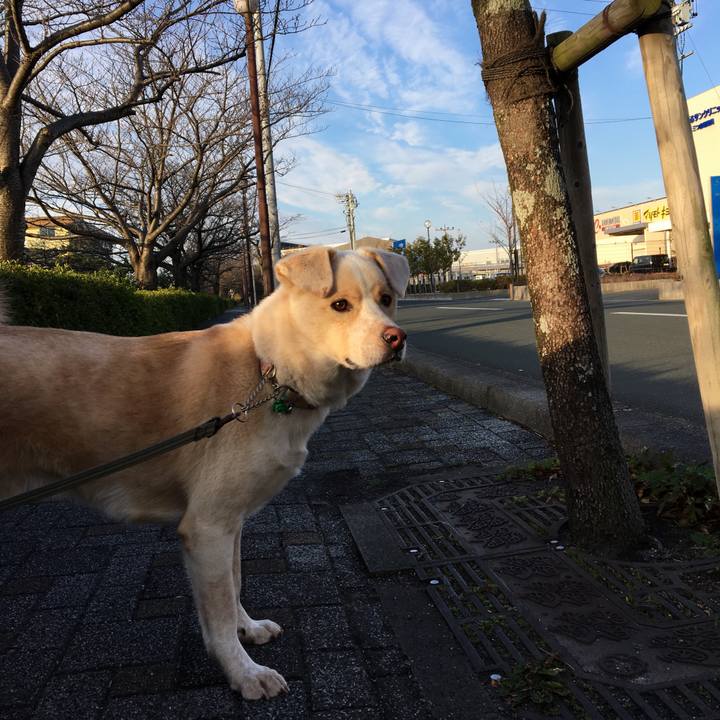 93e88e91 d701 4f0a afd0 1cbdc7392e77 1514258828202