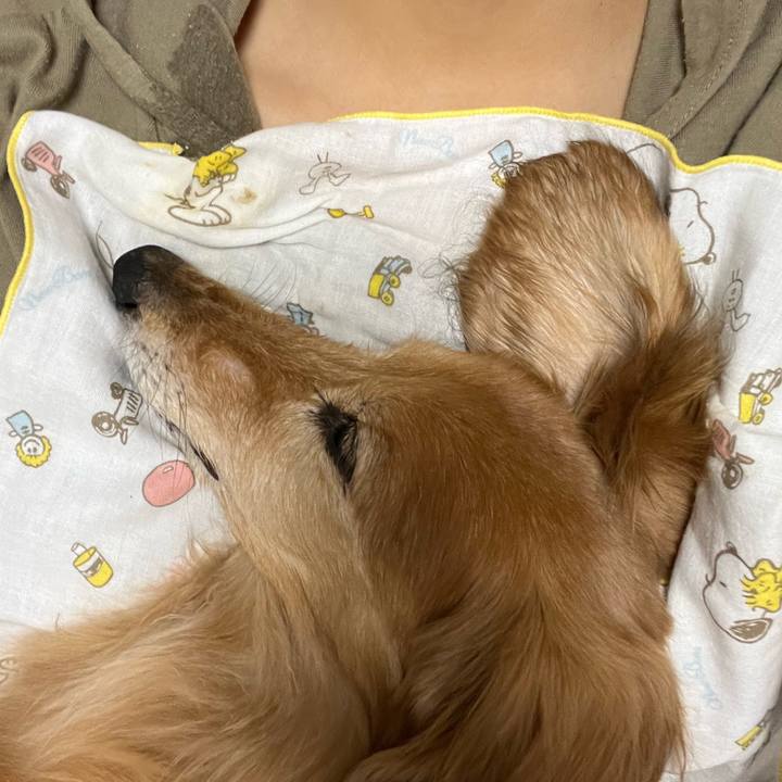 93e8a145 79ab 42be 9517 b158d75d30cd 1685544682150