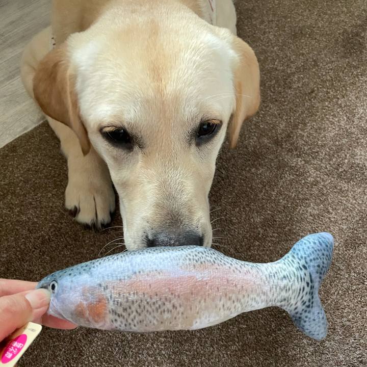 93e8ce8d 14a9 4279 ac28 88057dbe26b8 1623394310624