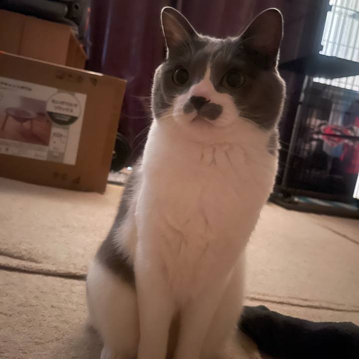 93e959a7 2a61 4634 a581 b6046e6736c7 1737412752481