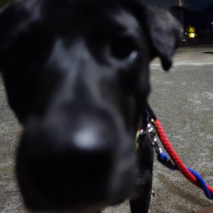 93ea077e 8877 4806 aa31 a5aef0064e99 1586179228090