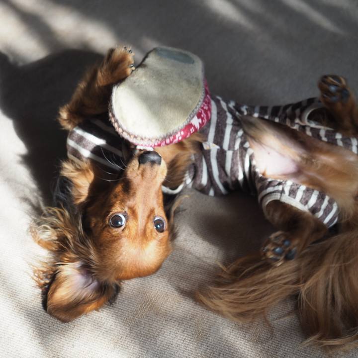 93ea4dc8 184f 4026 bd3c 0031601d945d 1732345481377