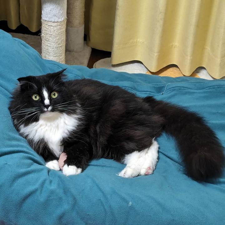 93ea7180 5fb0 4260 a445 12954adb4881 1715342084615