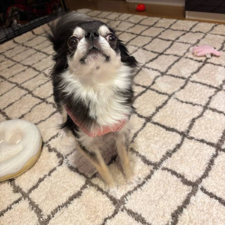 93ea8882 bc82 4659 92bc c7653aaa71b9 1734883109816