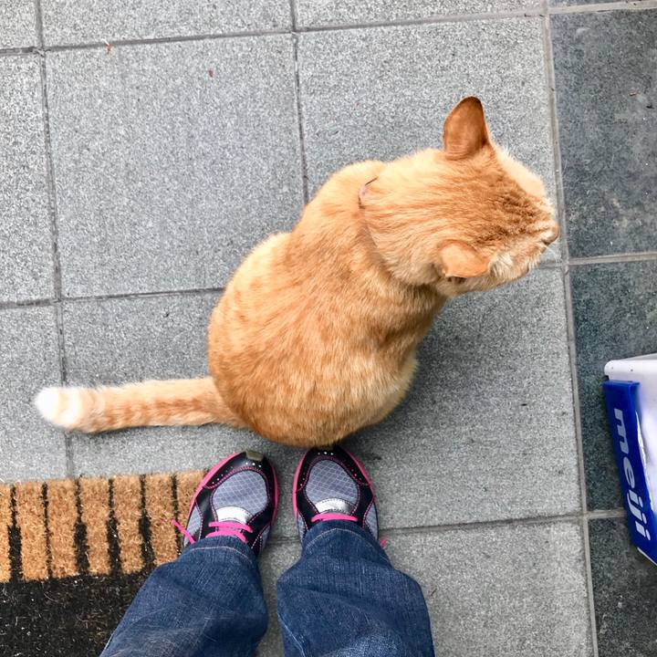 93ea8c20 8af8 4c1c bafd 914daecedf25 1527494918364