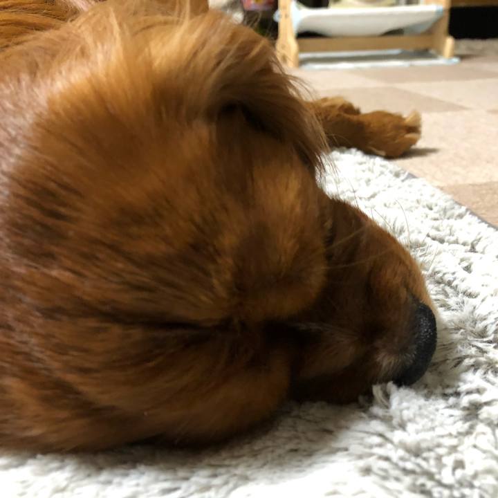 93eab96f cbb1 40c0 9f15 e80f855cae19 1550491067872