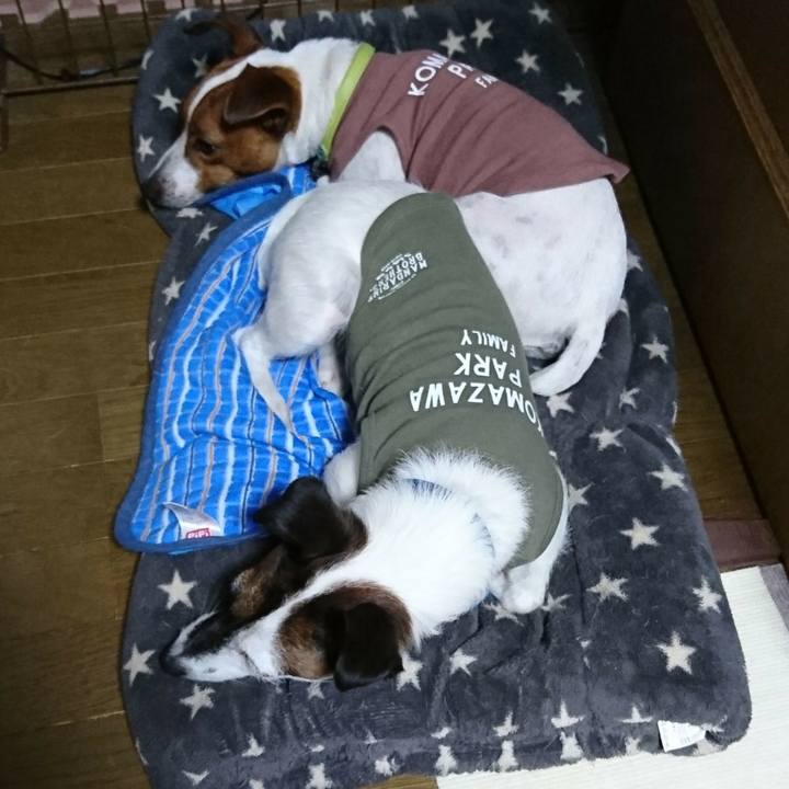 93eac11d 3c68 45e3 959a da8346bc6091 1562412560123