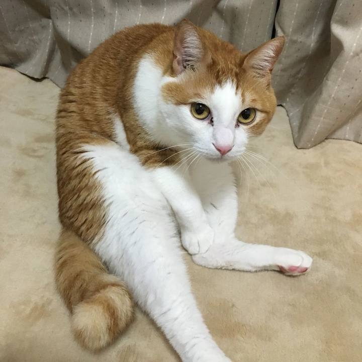 93eacb73 785b 401c a93e d8087ba01fcb 1525844444659