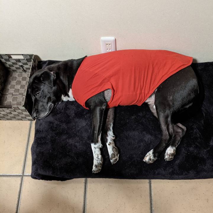 93eaded6 c397 45fb b53f 0edd4f088c1b 1638286664388