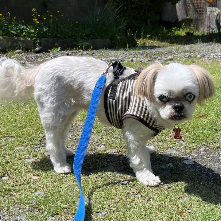 93eae26b a782 48ba 928b df12ed2b32ea 1683082991812