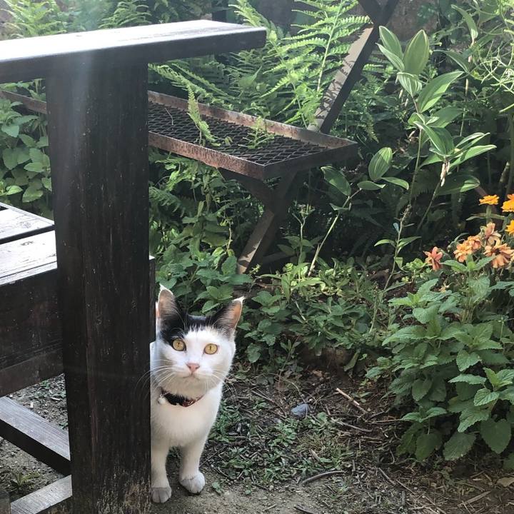 93eb364f 1eb9 49c5 8ac9 e05960d52ae7 1713675996949