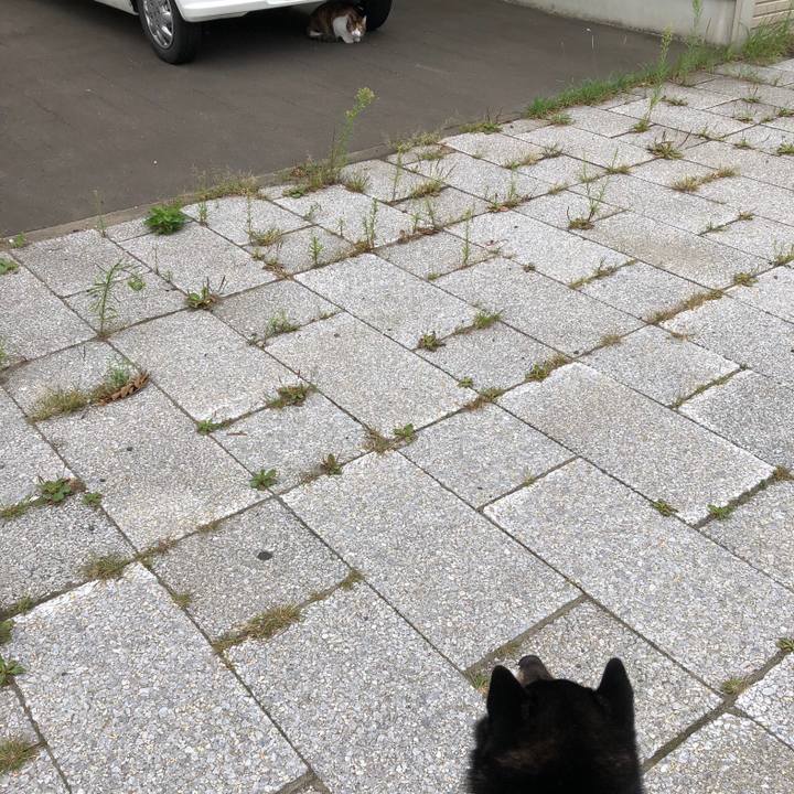 93eb7741 fe02 4f87 a1e1 ca5a51940339 1535490563527