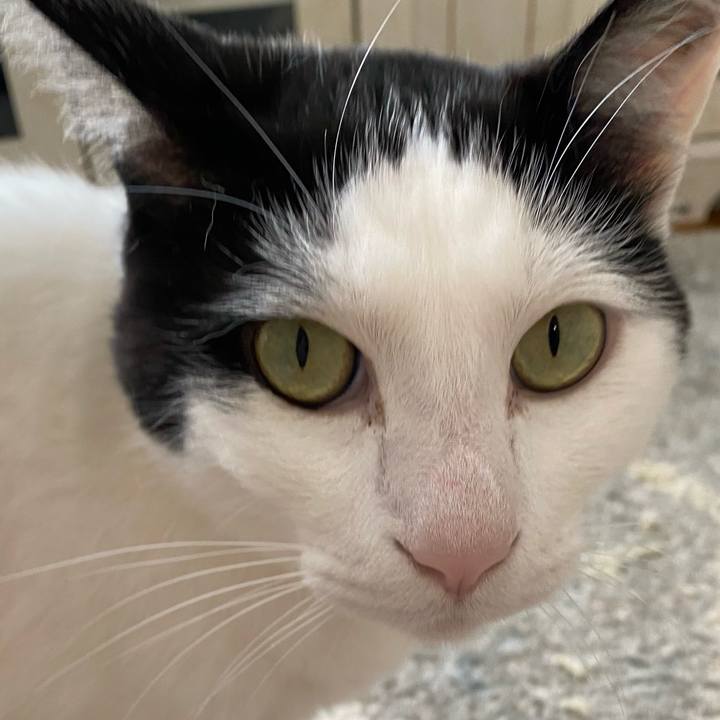 93eba284 77c6 45df afb6 547b4b4b924b 1649466874438