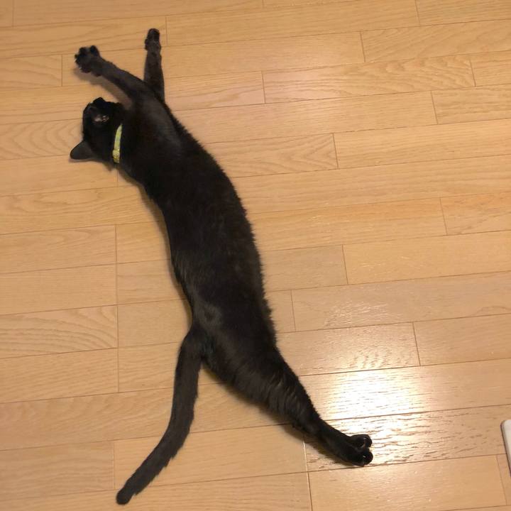 93eba4fc 9548 480a b8f5 ca2098bf7e14 1530706117685