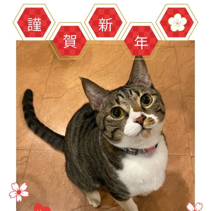 93ebc774 a6a8 44fb b51b e0292a645207 1704056158251