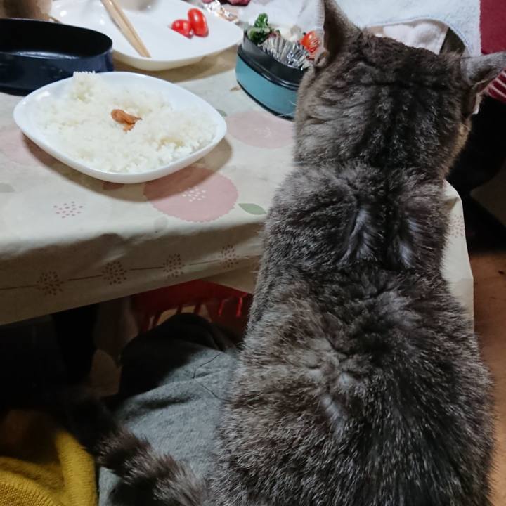 93ebcb19 3637 4d70 9fbc 436a2976a801 1571623687597