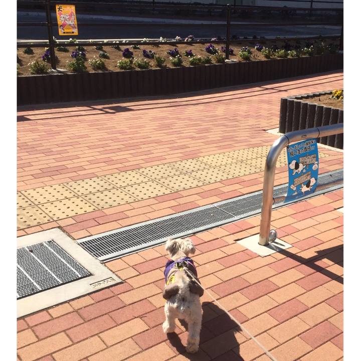 93ebe3c3 1749 4b3d addc 577956f5f342 1518934290288