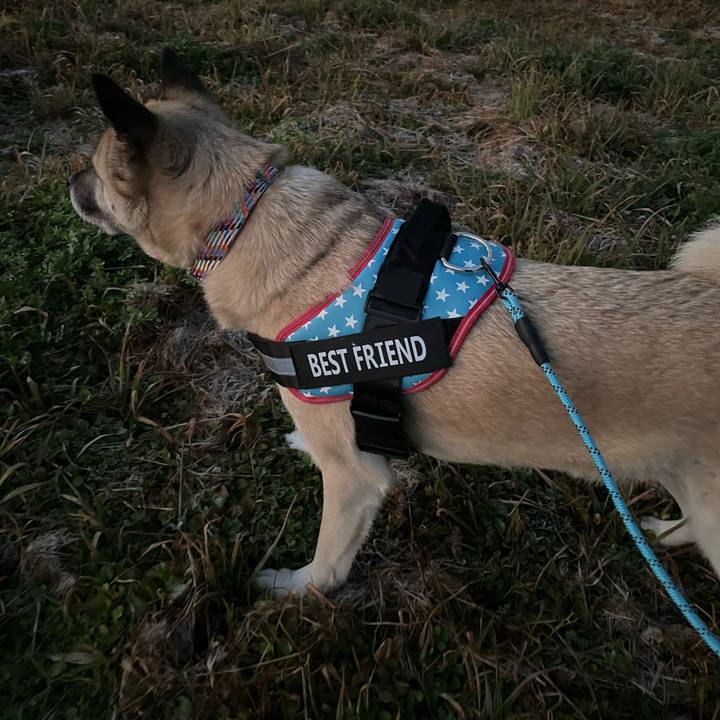 93ec013d 9fca 43af 8bb5 8114c2c00c19 1705929123905