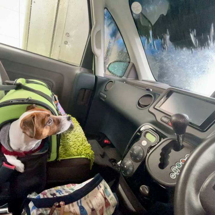 93ec1e8f 2b4c 4ee6 ab92 bd8bba108a5e 1642404705954