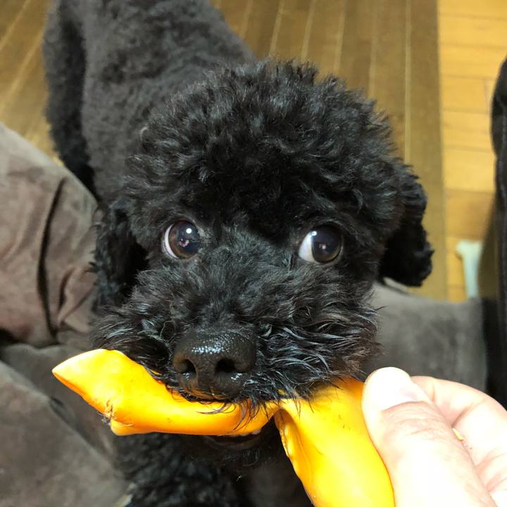 93ec498c d096 4cee 8902 9308c89e99a8 1551133495789