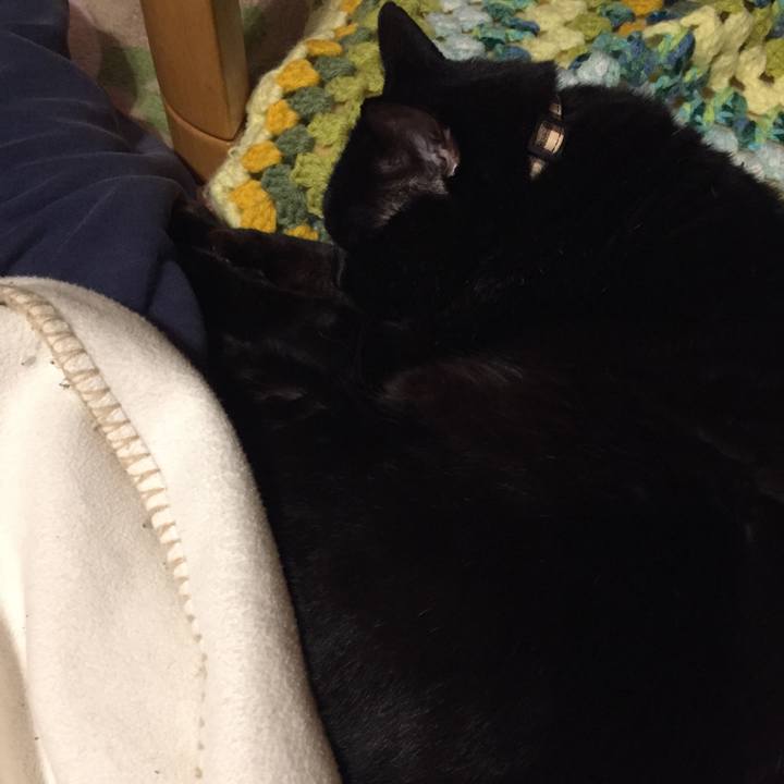 93ec55fb 2342 4b31 b397 d6e40133641d 1576582954137