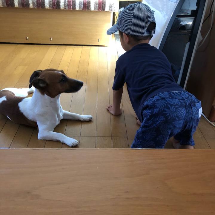 93ec7778 376c 4c23 80a7 35ca2f567260 1535496729346