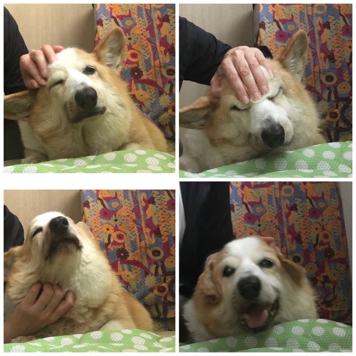 93ec7854 8904 46fb 9b27 a781228f9153 1558051431368