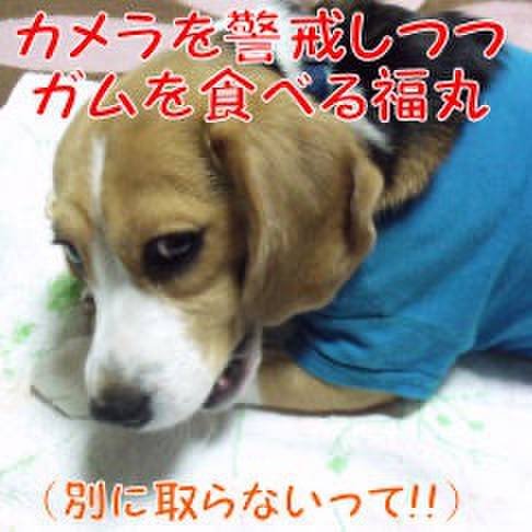 93ec7d69 4d29 4d3a 8251 751cc874695f 1708385559148