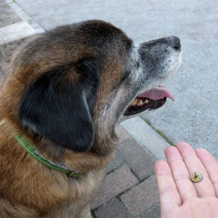 93ecc831 093c 4c87 9455 8f9c0fc6be9a 1531530042084