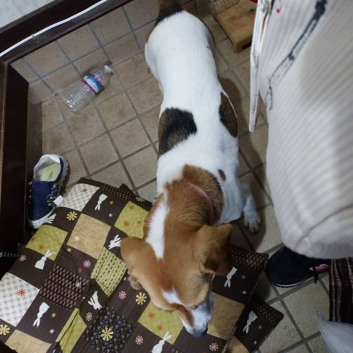 93ecca21 c89b 4b8b bdf2 3543b1d699ec 1580134554577