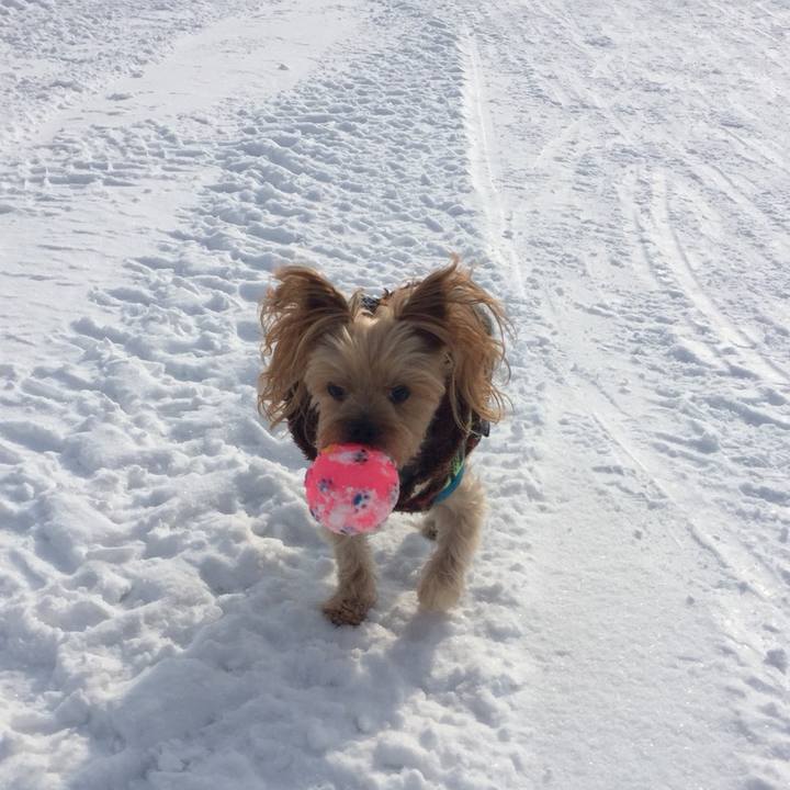 93ecd053 8552 4267 9802 24c1b4eb6e82 1549513021165