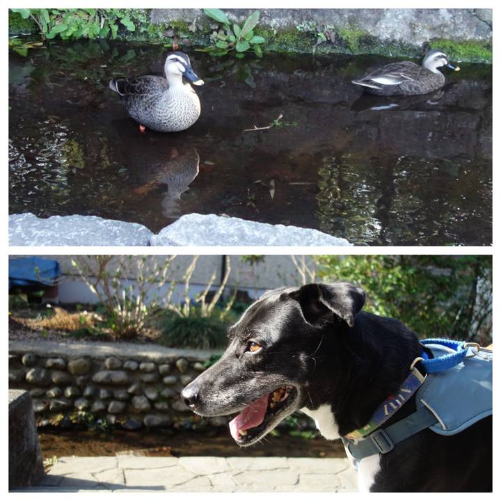 93ed0543 e8ac 4b33 bb4d e2abd836ec7f 1710550245903