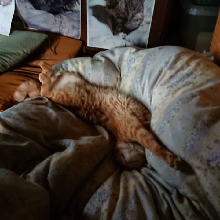 93ed2b62 6df6 4550 bbb0 c1a270366009 1660255562485