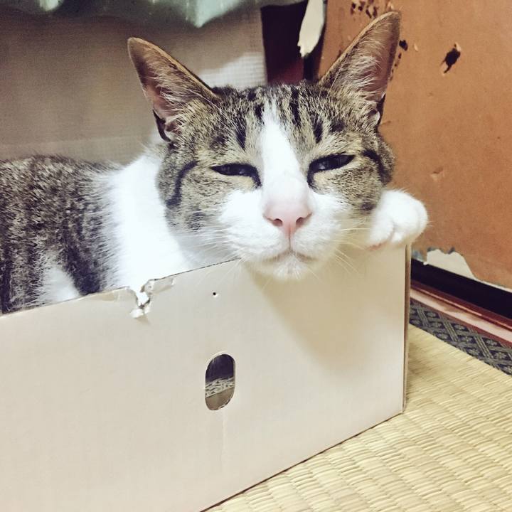 93ed3ea5 edfa 464e 8e04 5d2349c1d897 1531294364695