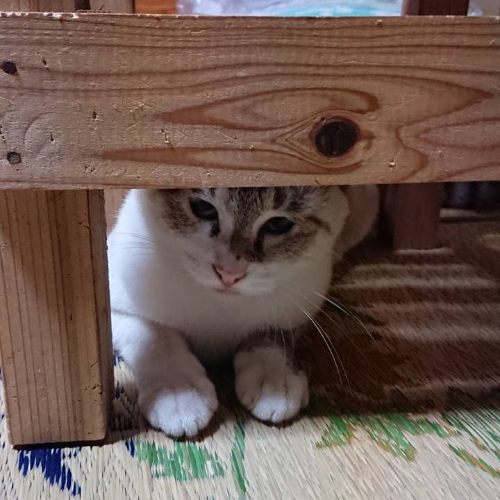 93ed4735 f493 46ff 90c1 4f7e10792a15 1538228475832