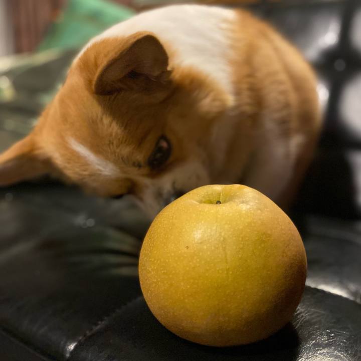 93ed6f8d 69b4 4db5 8e7c 9cf3d7805944 1696163522152