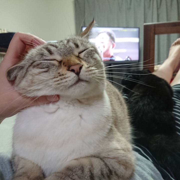 93ed735e a538 4167 8b4e a80ef33f9cd4 1592827418018